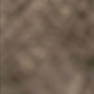 Meet your Posher, Hector